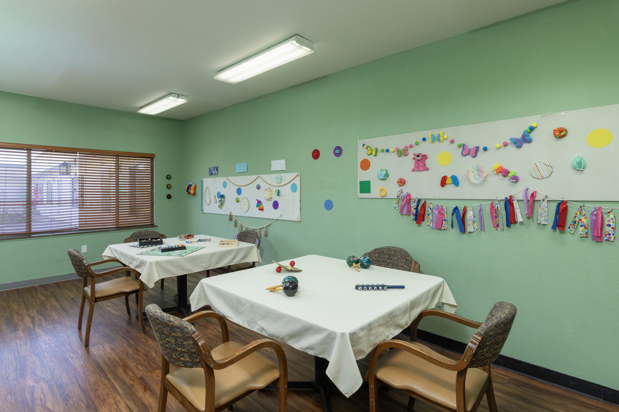 Mountainview_ActivityRm - Evergreen Healthcare Group