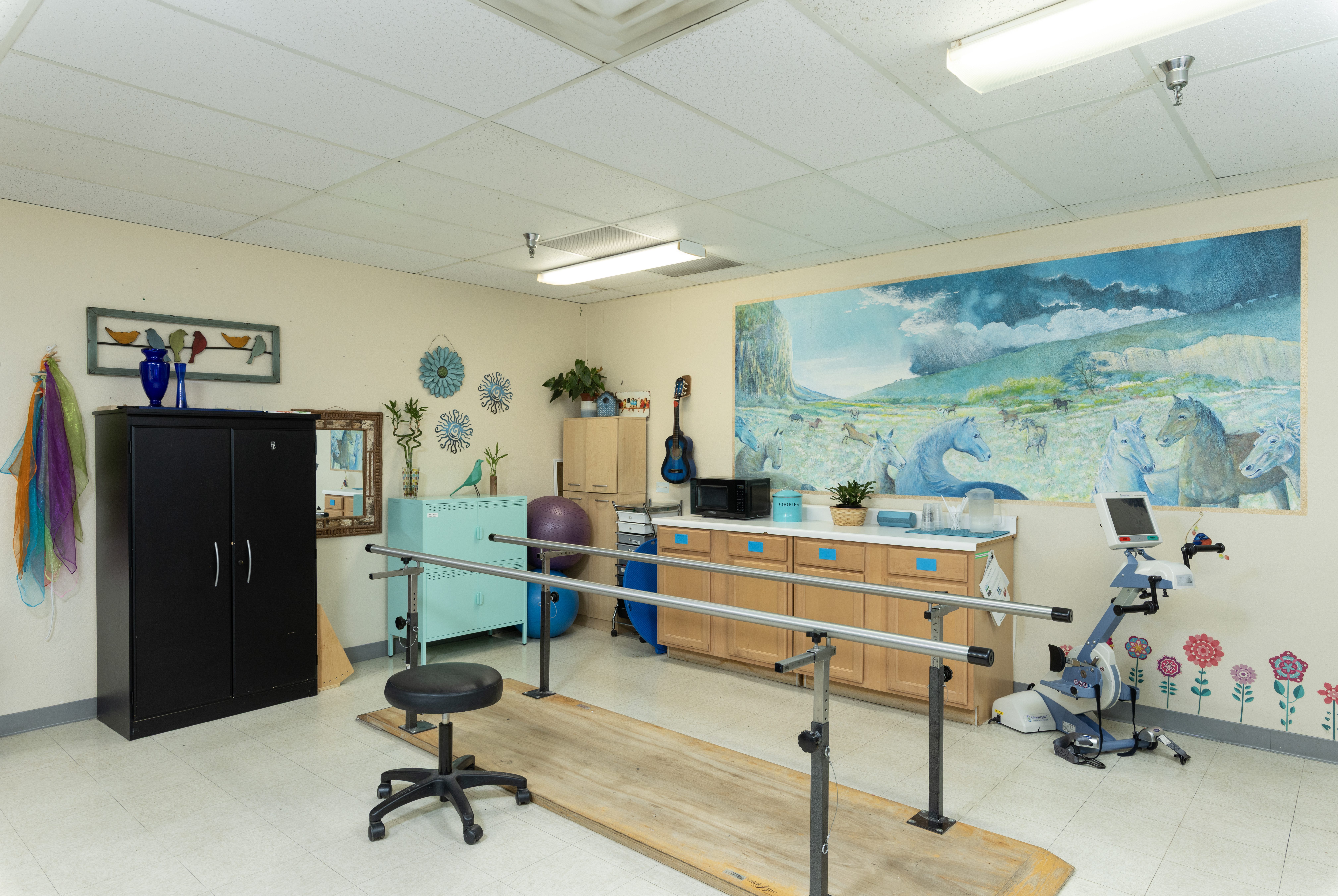 Mountainview_Gym - Evergreen Healthcare Group