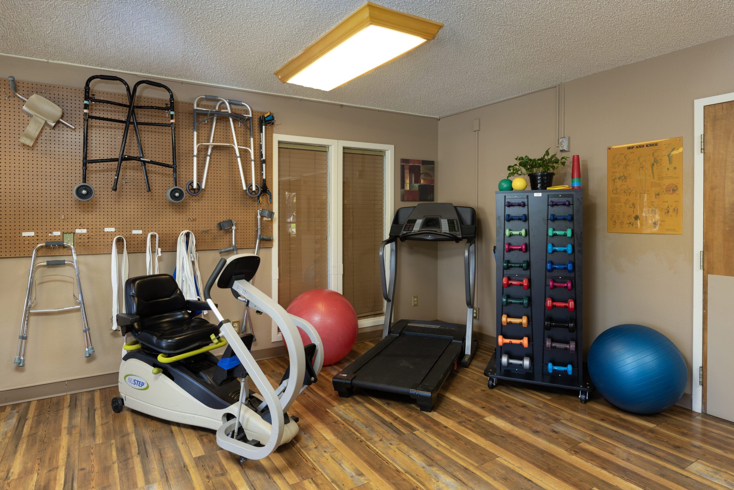Windsor_Gym - Evergreen Healthcare Group